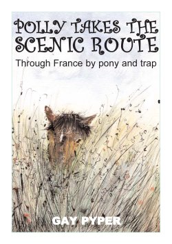 Polly takes the scenic route Book Cover